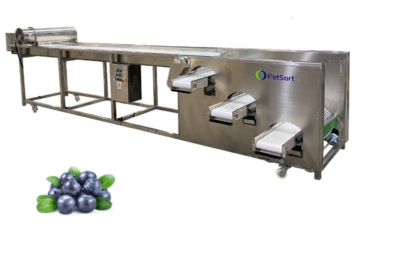 blueberry grader.jpg